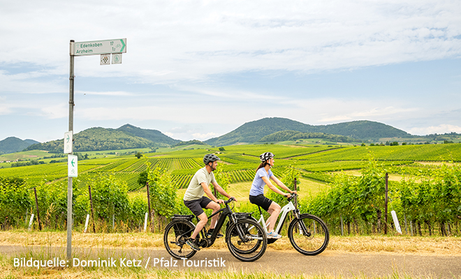 Rad fahren durch Landau-Land